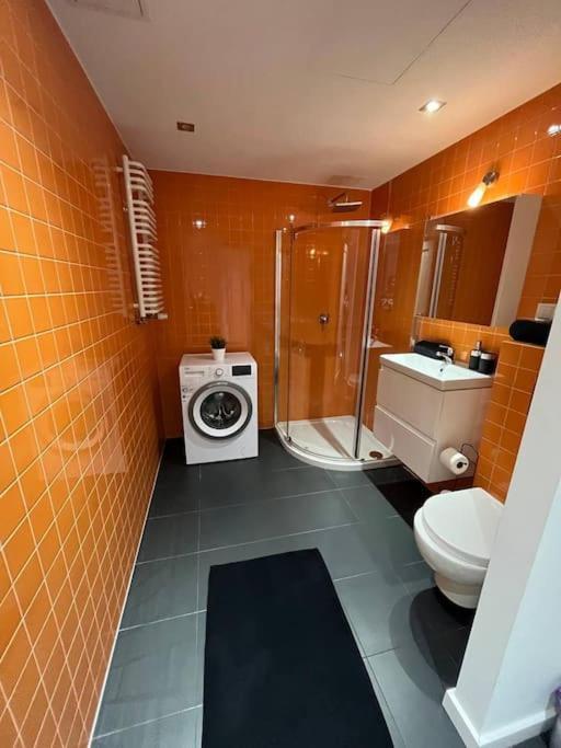 New Apartment Old Town -6 People - 200M Town Hall Breslavia Esterno foto
